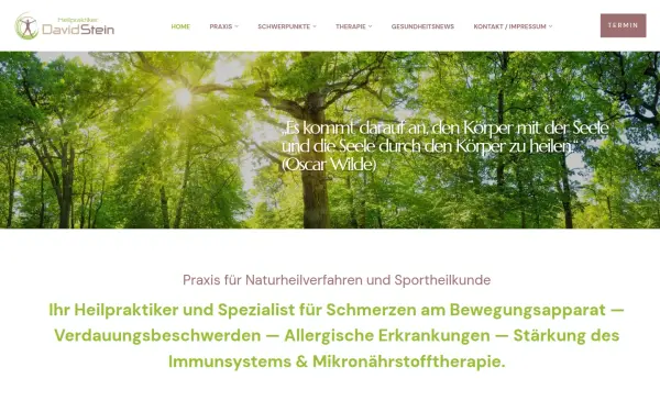 davidstein-heilpraktiker.de