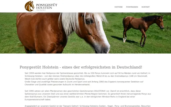 ponygestuet-holstein.de