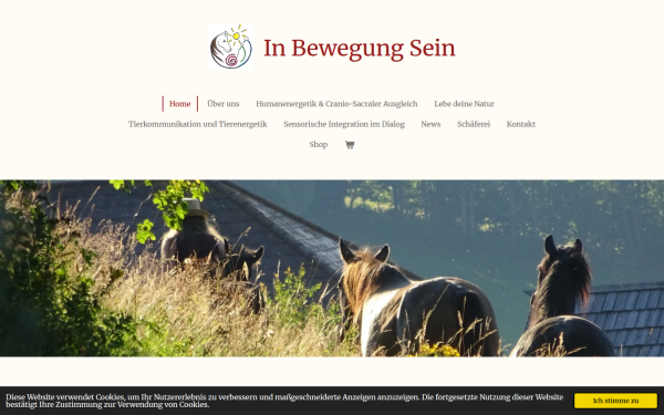 www.in-bewegung-sein.at