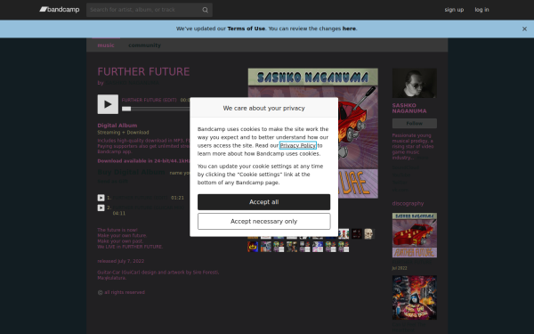 sashkonaganuma.bandcamp.com