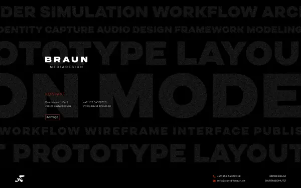 david-braun.de