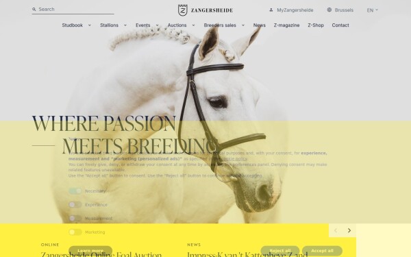 www.zangersheide.com