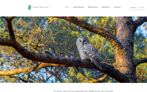 www.soulwise.at