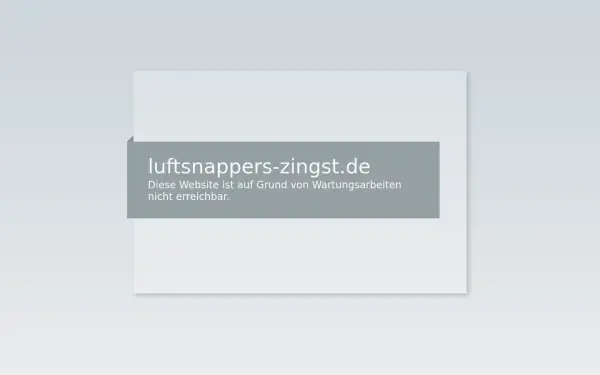 luftsnappers-zingst.de