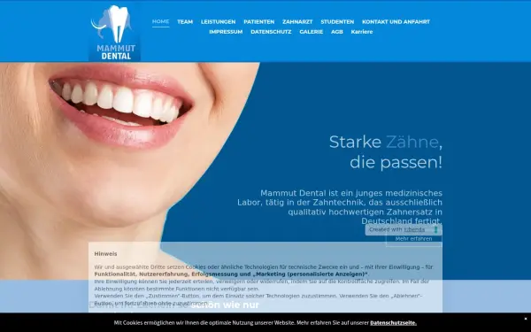 www.mammut-dental.de