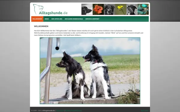 alltagshunde.de