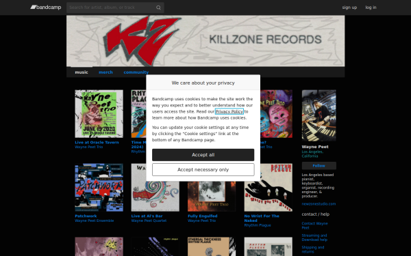 waynepeet.bandcamp.com