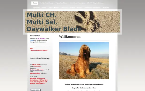 www.daywalkerblade.com