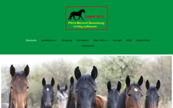 mensch-pferd.de