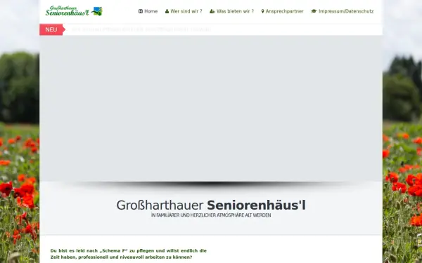 seniorenhaeusel-grossharthau.de