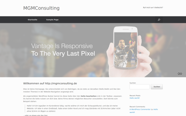 mgmconsulting.de