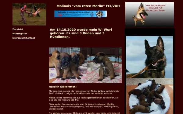 www.malinois-zucht.de
