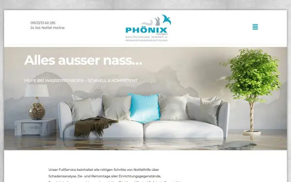 phoenix-bautrocknung.de