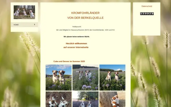 helavomrauhenstein.de