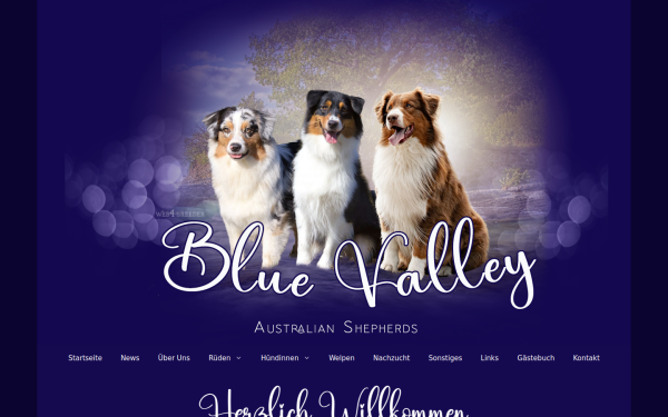 www.bluevalleyaussies.de