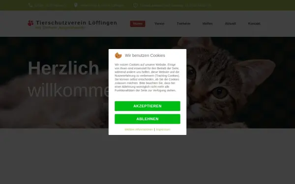 tierheim-loeffingen.de