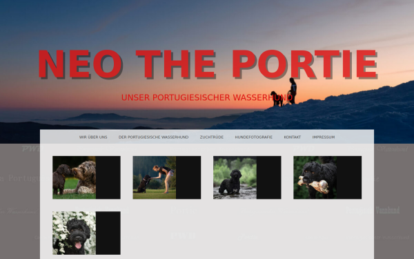 neo-the-portie.at