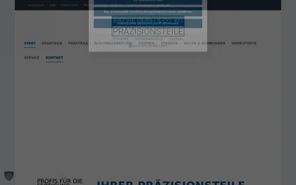 www.rieche-gmbh.de