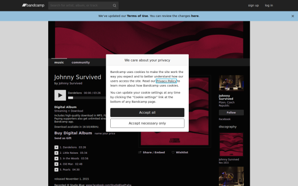 johnnysurvived.bandcamp.com