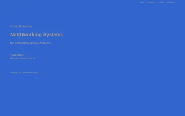 nettworking.systems