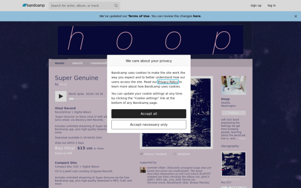 hoop.bandcamp.com