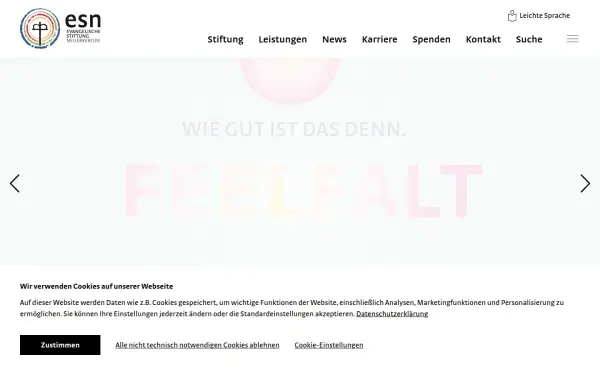 www.netzwerk-esn.de