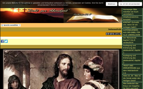 www.dirk-mentzjuergen-mellert-homepage.de
