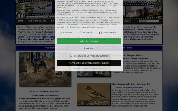 muehlstein-online.com