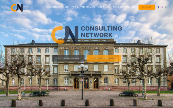 consulting-network.net