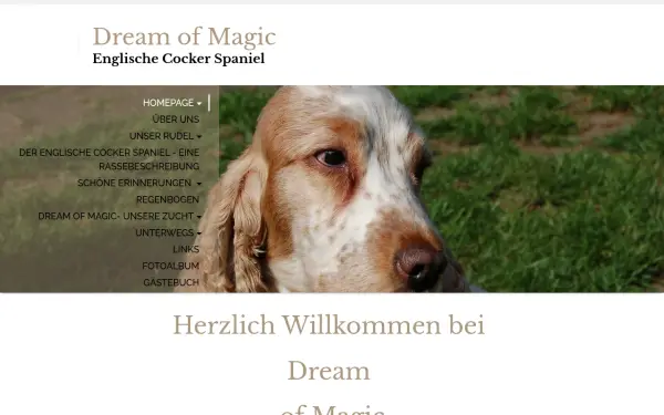 dreamofmagic.de
