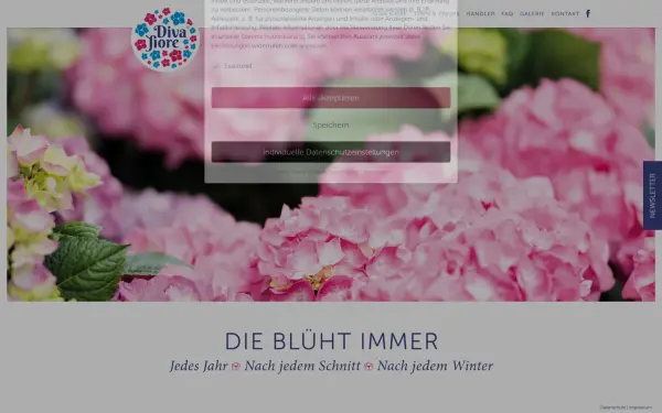 diva-fiore.de