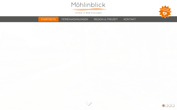 www.moehlinblick.de