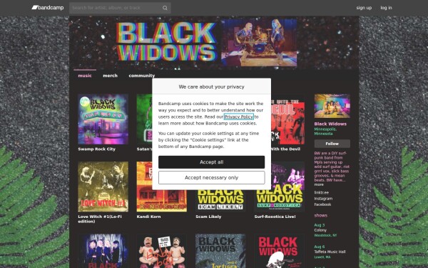 blackwidows.bandcamp.com