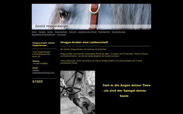 www.gestuet-hoppenberger.at