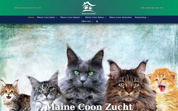 www.maine-coon-castle.de