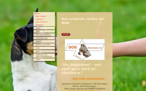www.dog-hockstein.de
