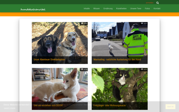 hundekatzenvital.de