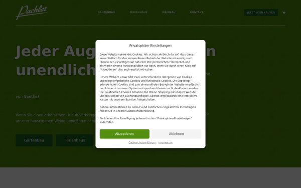 www.gfwpachler.at