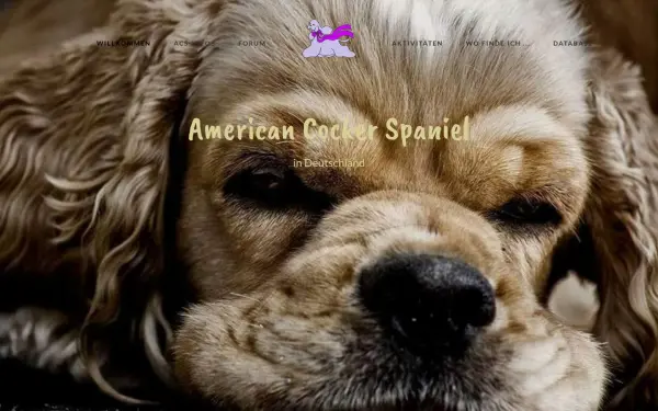 american-cocker.de