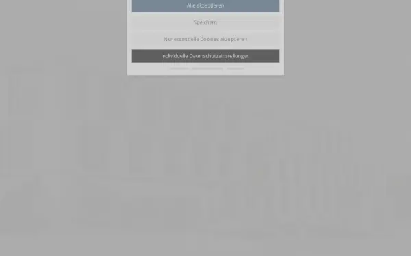 www.schwinge.com
