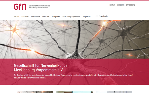 gesellschaft-nervenheilkunde-mv.de
