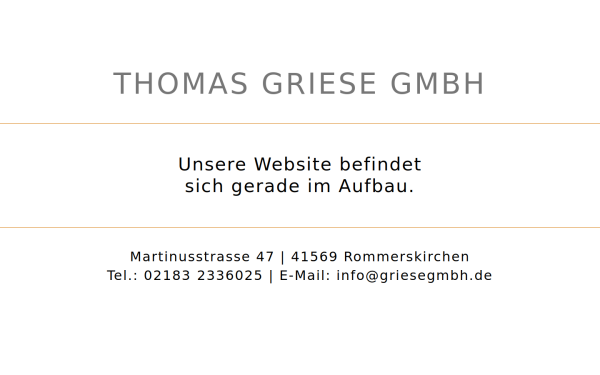griesegmbh.de