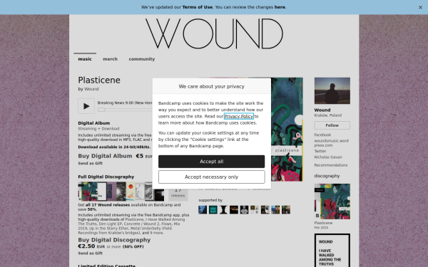 wounds.bandcamp.com