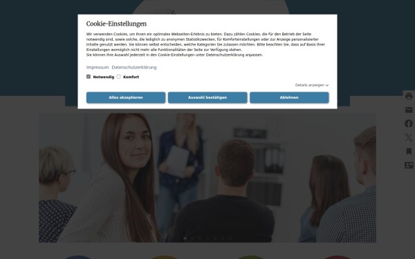www.bvsi-online.de
