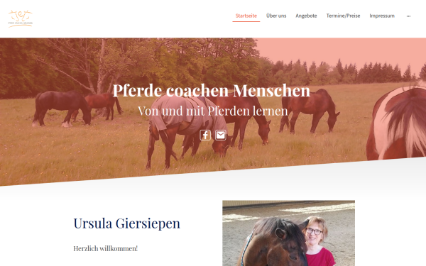 www.pferdecoachenmenschen.de