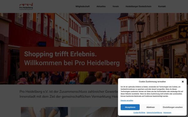 proheidelberg.de