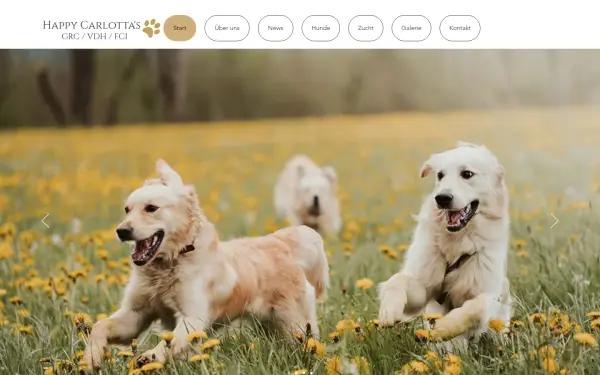 www.happycarlottas.de