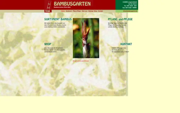 bambusgarten.de