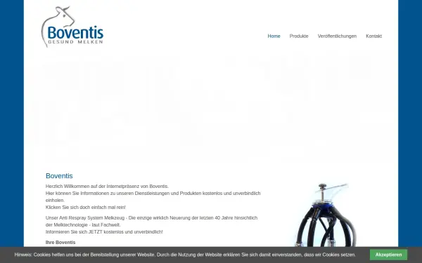 boventis.de
