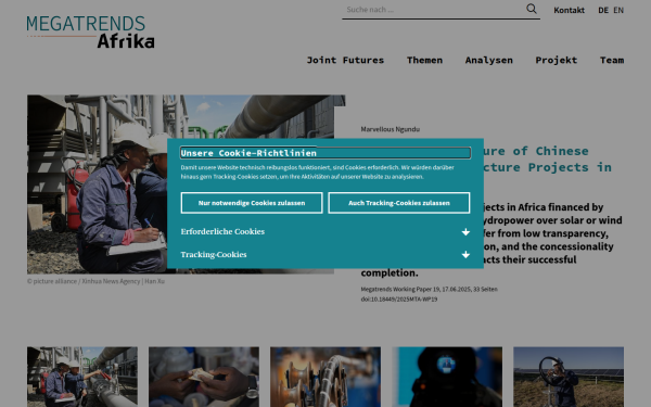 www.megatrends-afrika.de